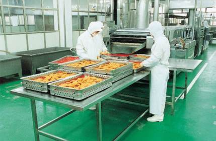 食品加工無(wú)塵車間對(duì)空氣過(guò)濾的要求